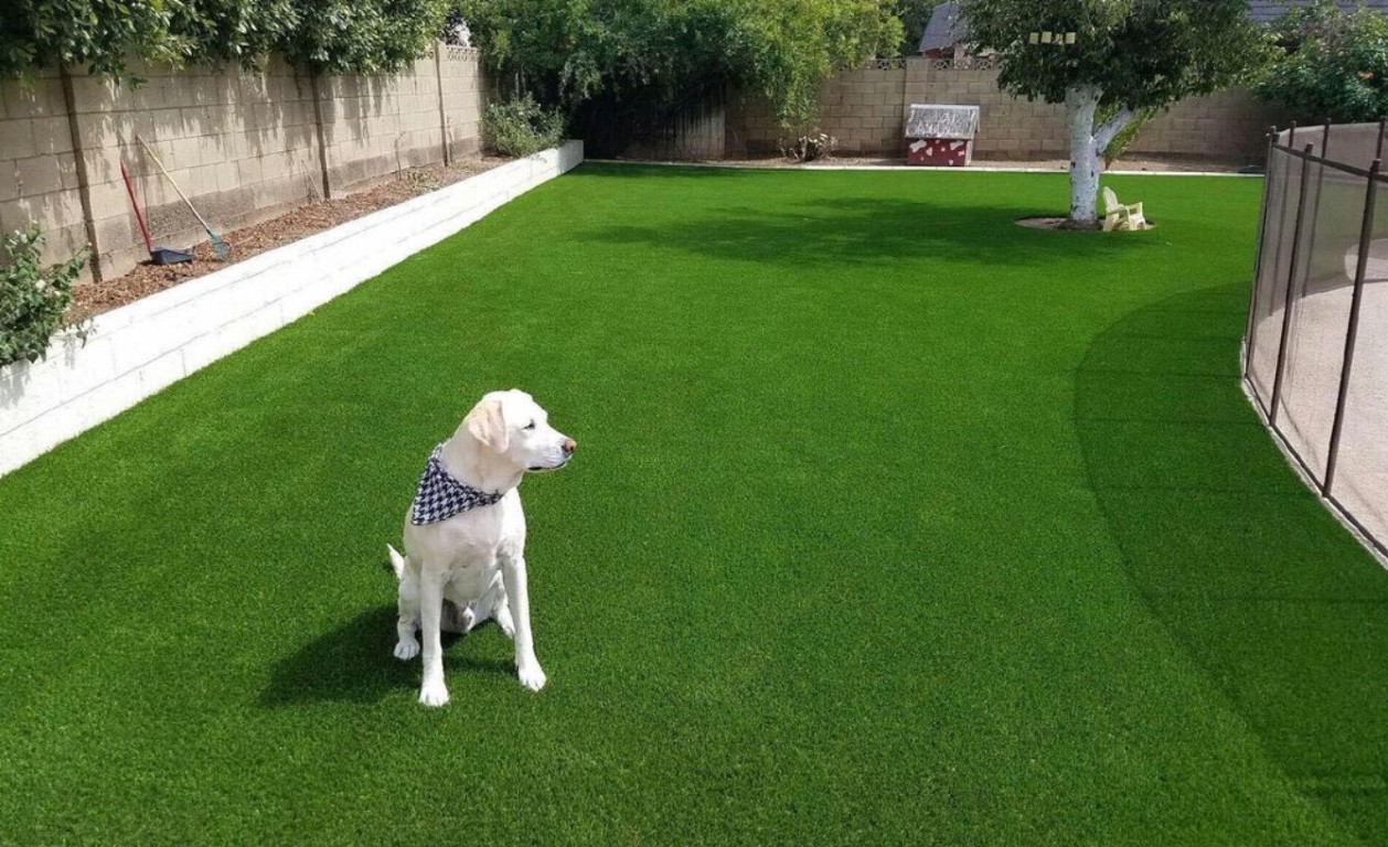 Pet-safe artificial grass with advanced drainage for dogs in Port Charlotte, FL